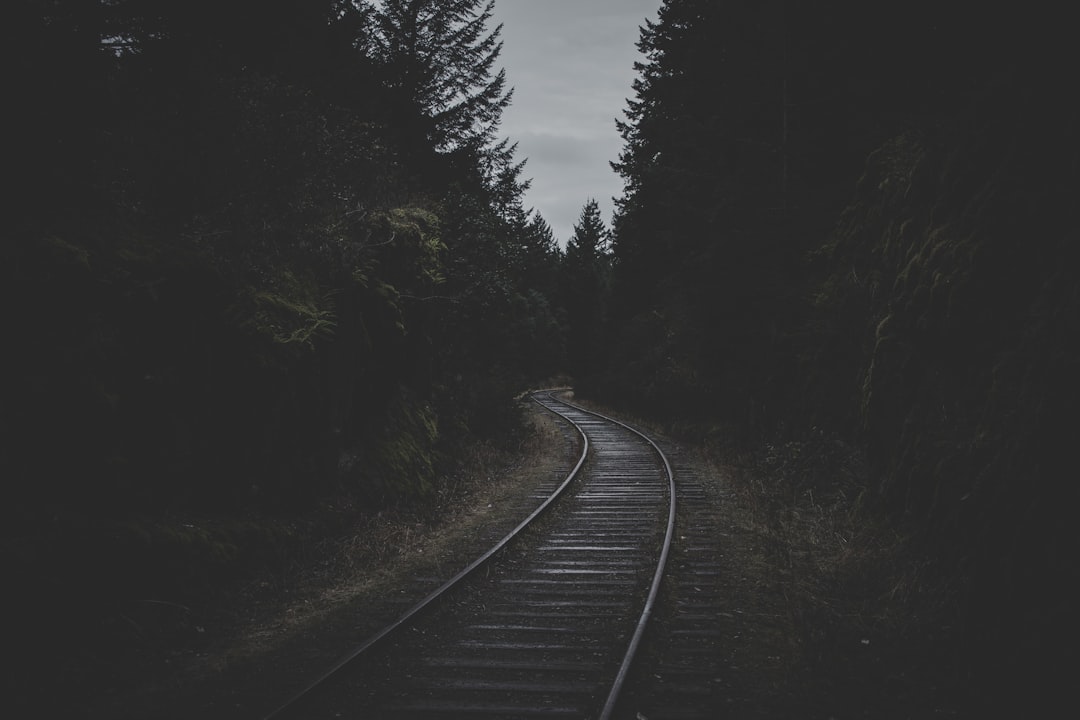 train rail in middle of trees
