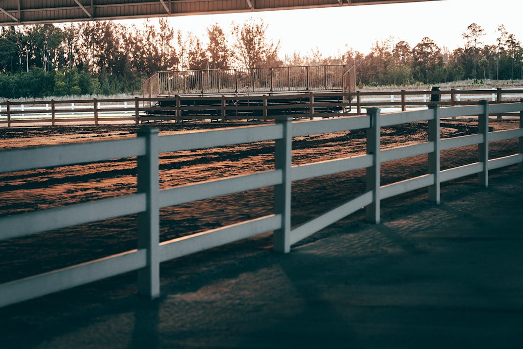 brown wooden fence near trees during daytime
