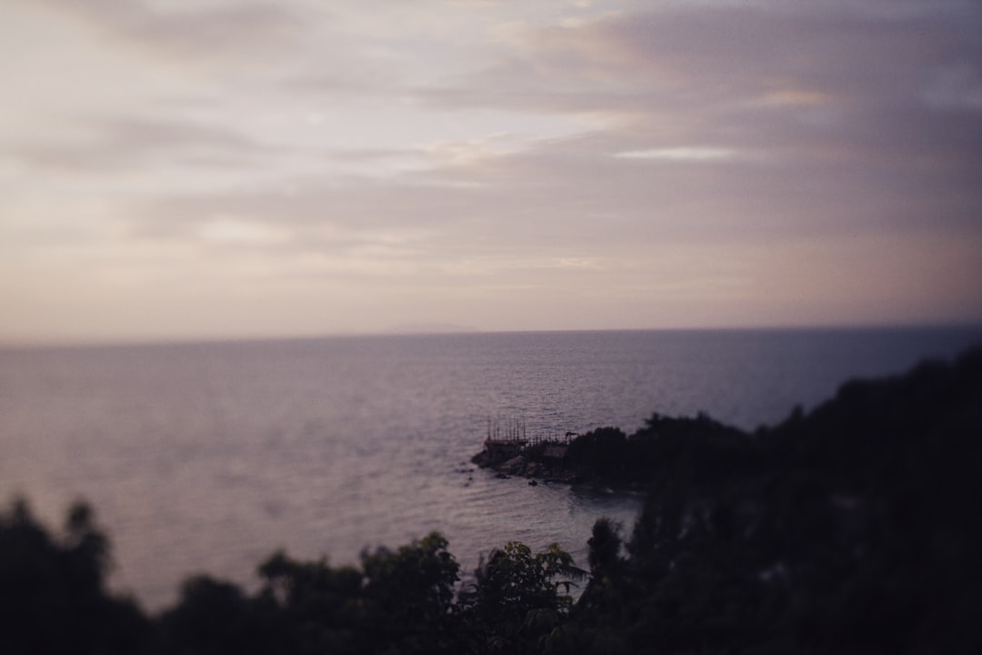 a view of a body of water with trees in the foreground